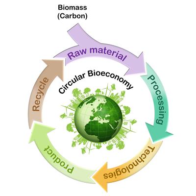 Biomass