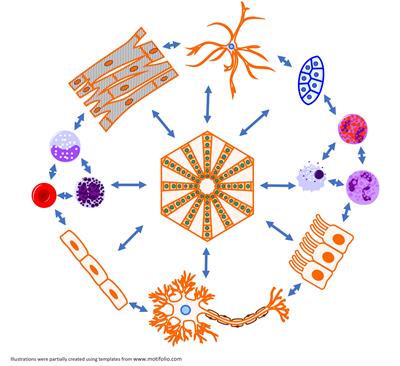 Research Topic Research topic image