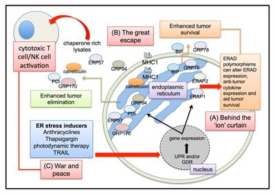 Research Topic Research topic image