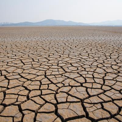 Land Degradation & Development, Environmental & Soil Science Journal