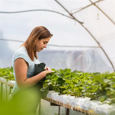 ag research topics