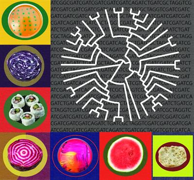 microbiology research topics for undergraduates