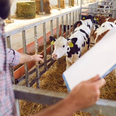Management Techniques to Improve Farm Animal Health in a Parasitic World |  Frontiers Research Topic