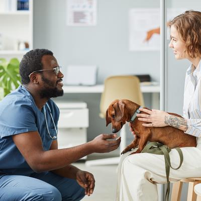 One Health in Veterinary Science: Social Equity and Animal Welfare |  Frontiers Research Topic