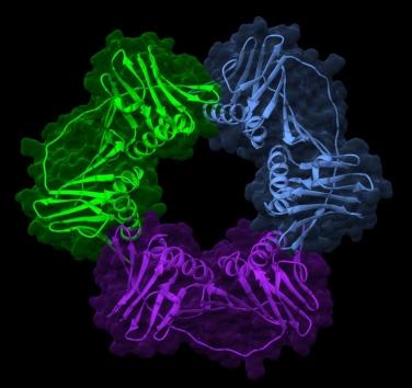 Research Topic Research topic image
