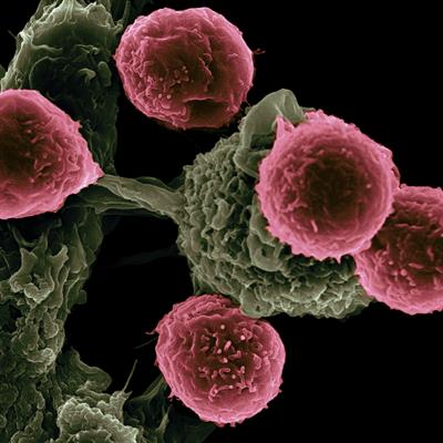 Research Topic Research topic image
