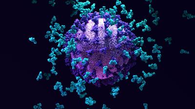 Research Topic Research topic image