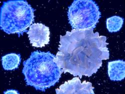 Research Topic Research topic image