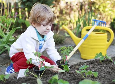 The Natural World As A Resource For Learning And Development From