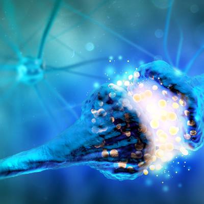 Research Topic Research topic image