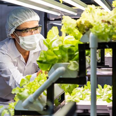 Research Topic Research topic image