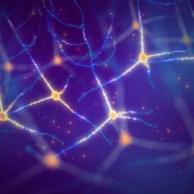 Research Topic Research topic image