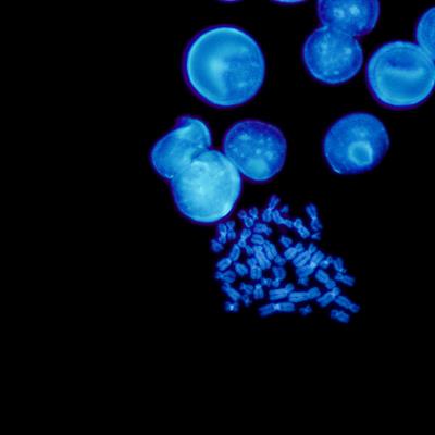 Research Topic Research topic image