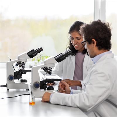 Research Topic Research topic image