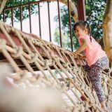 Research Topic Research topic image