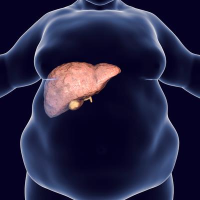 Research Topic Research topic image