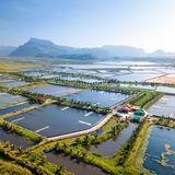 Research Topic Research topic image