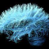 Research Topic Research topic image