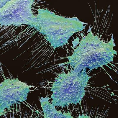 Research Topic Research topic image