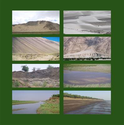 Research Topic Research topic image