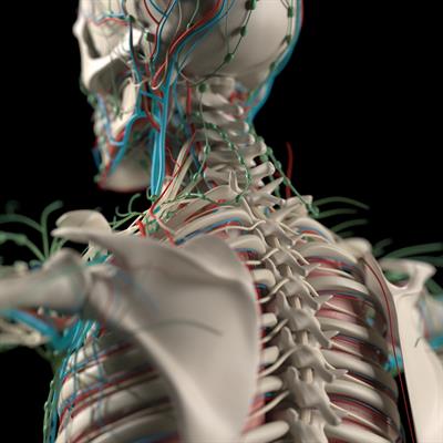 Research Topic Research topic image