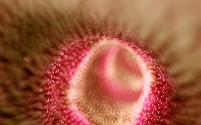 Research Topic Research topic image