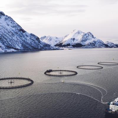 Research Topic Research topic image