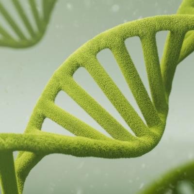 Research Topic Research topic image