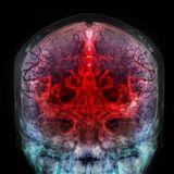 Research Topic Research topic image