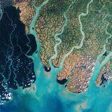 Research Topic Research topic image