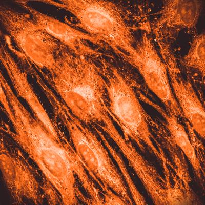 Research Topic Research topic image