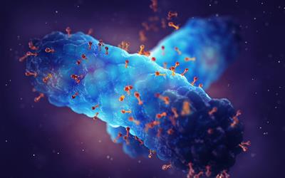 Research Topic Research topic image