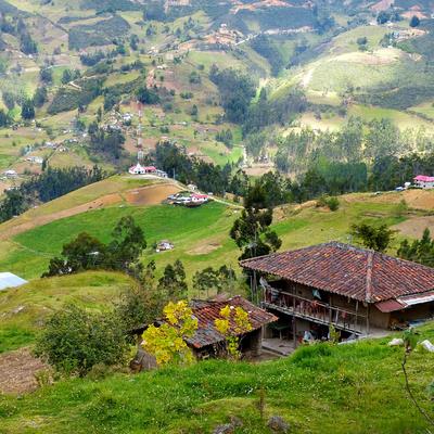 Research Topic Research topic image