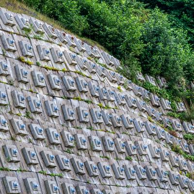 Research Topic Research topic image