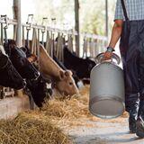 Research Topic Research topic image