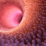 Research Topic Research topic image