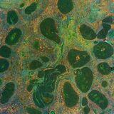 Research Topic Research topic image