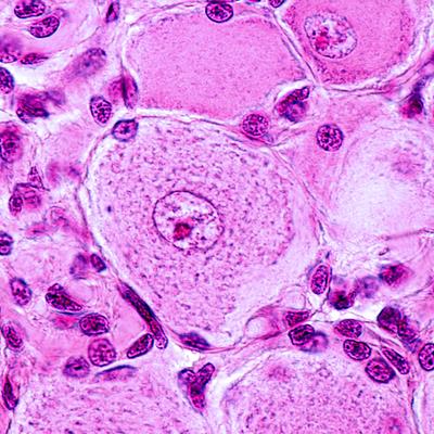 Research Topic Research topic image