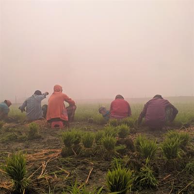 Research Topic Research topic image