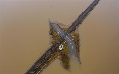 Research Topic Research topic image