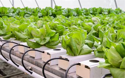 Research Topic Research topic image