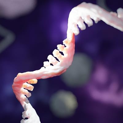 Research Topic Research topic image