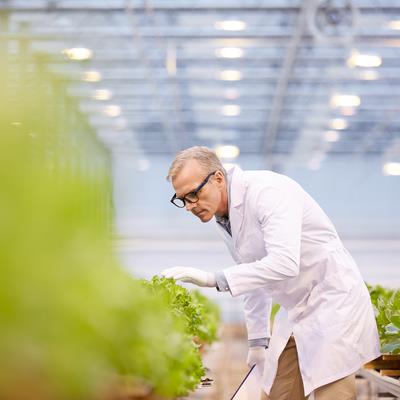 Research Topic Research topic image