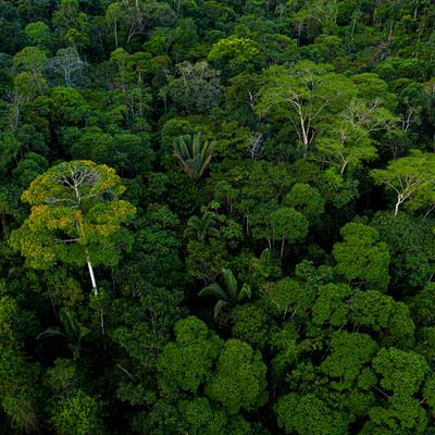 Research Topic Research topic image