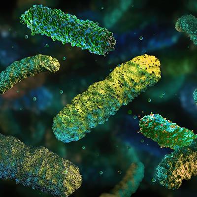 Research Topic Research topic image