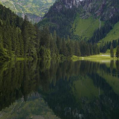 Research Topic Research topic image