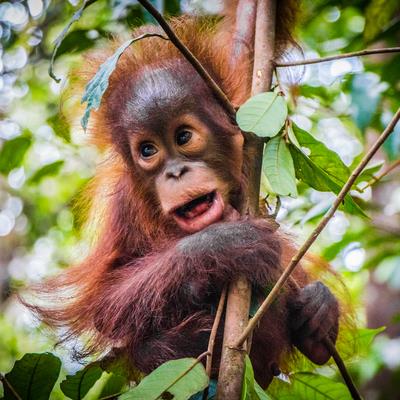 Research Topic Research topic image