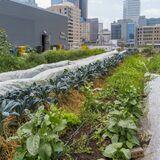 Research Topic Research topic image