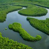 Research Topic Research topic image