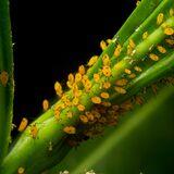 Research Topic Research topic image